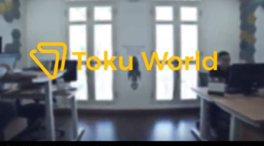 An introduction to Toku World
